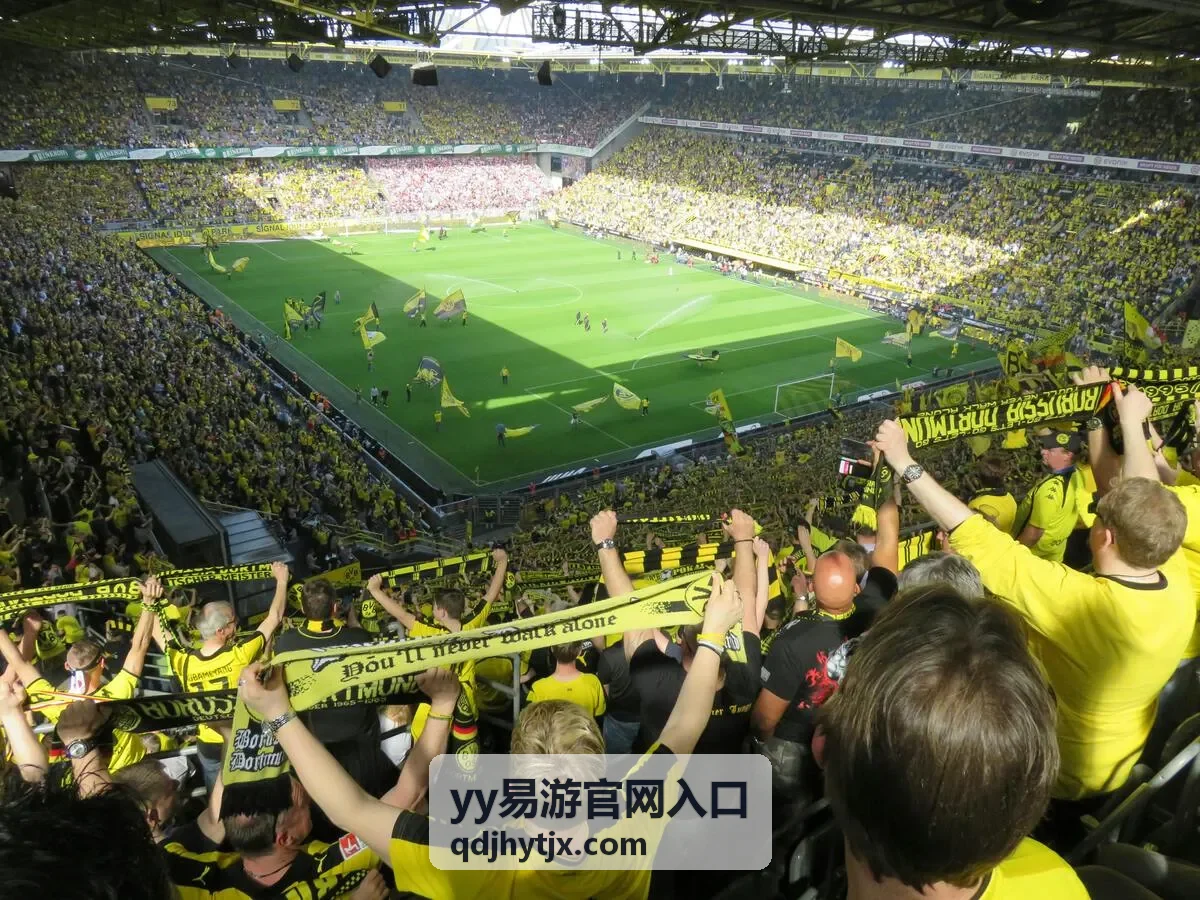 yy易游官网入口访问准备工作图