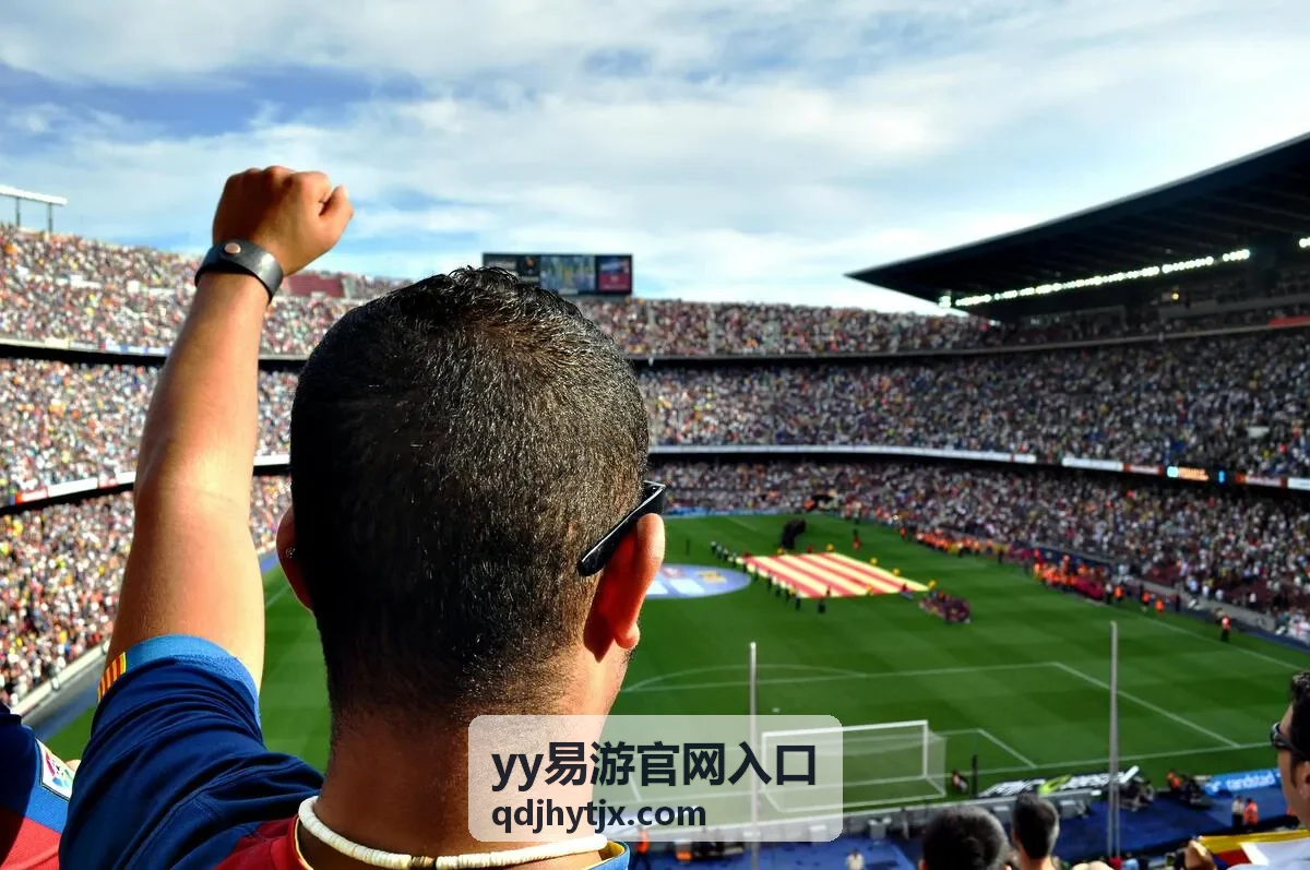 yy易游官网入口账号验证与资料维护自检画面